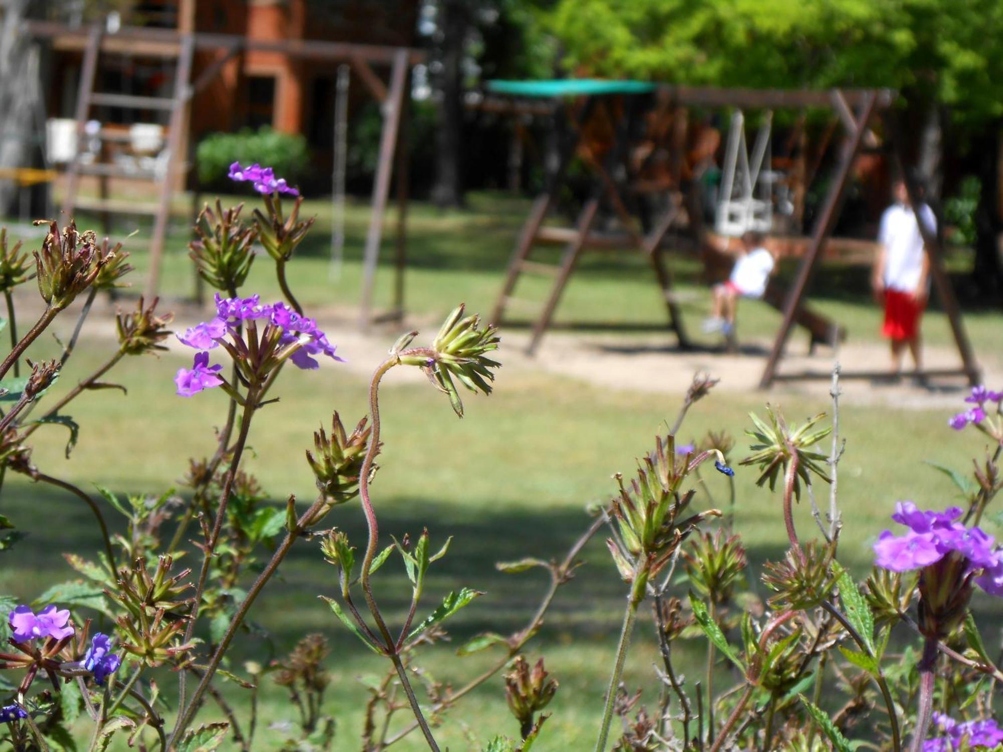 Rincon Del Este Resort 푼타델에스테 외부 사진